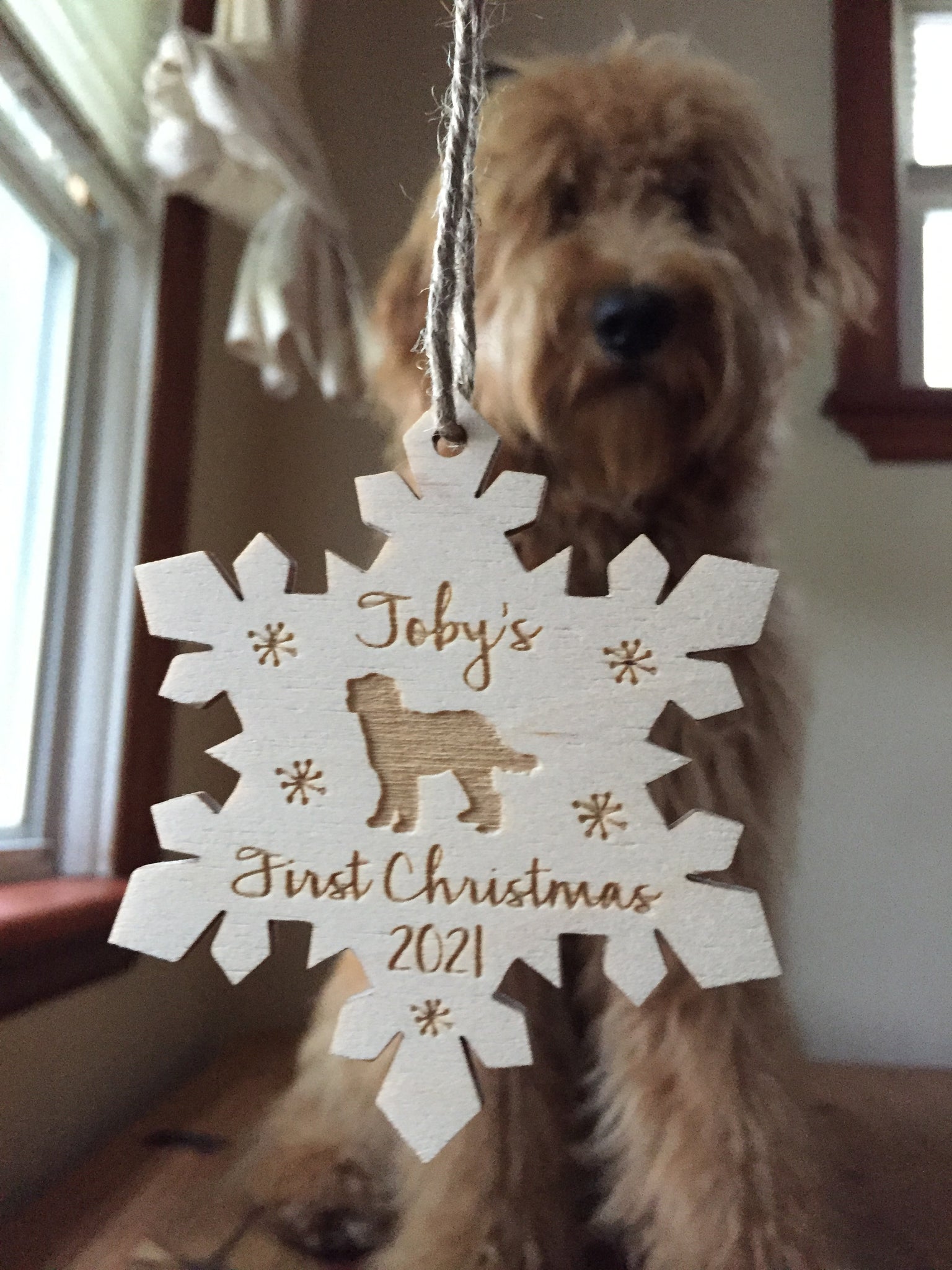Personalized Dog Christmas Tree Ornament Doodle Custom Ornament New Pet Owners Gift