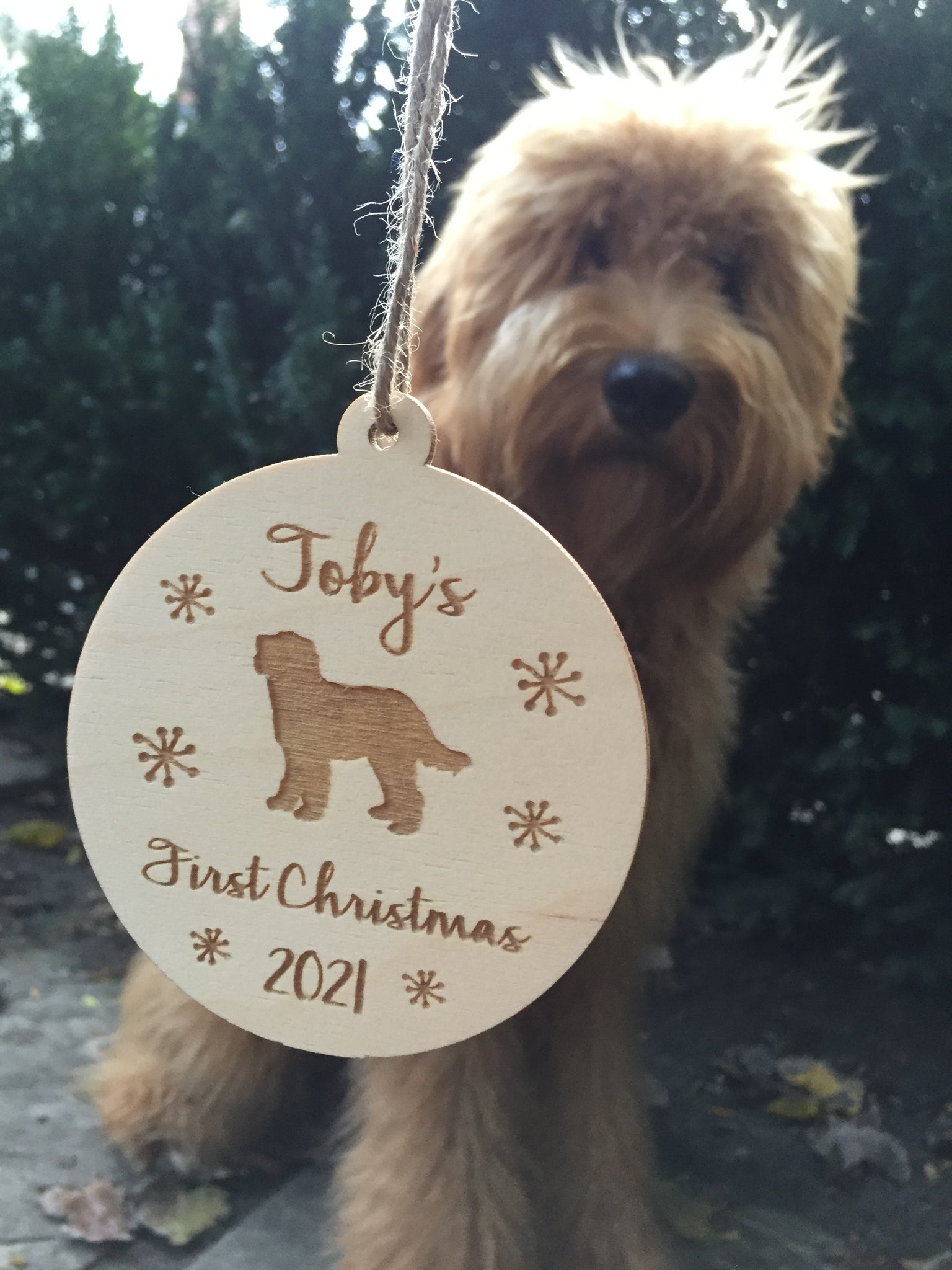 Puppy's First Christmas Dog Christmas Tree Ornament Doodle Custom Ornament New Pet Owners Gift Stocking Stuffer goldendoodle doodle ornament